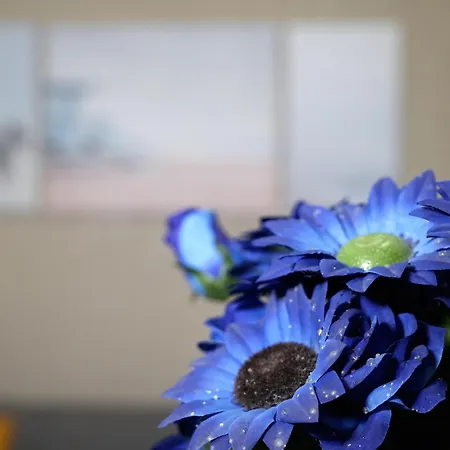 Civico 19 アパート Sannicandro di Bari