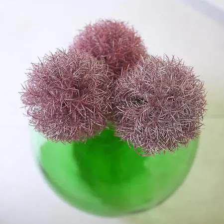 Civico 19 Lägenhet *