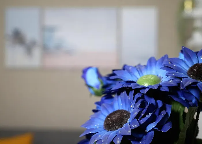 Civico 19 Lejlighed Sannicandro di Bari