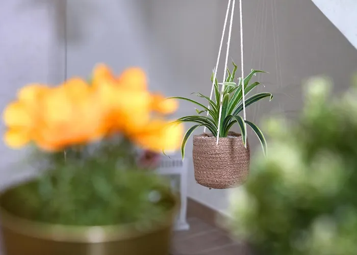 Civico 19 Lejlighed *