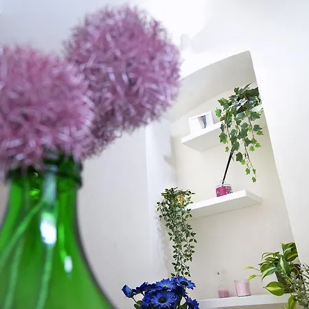 Civico 19 Apartamento Sannicandro di Bari